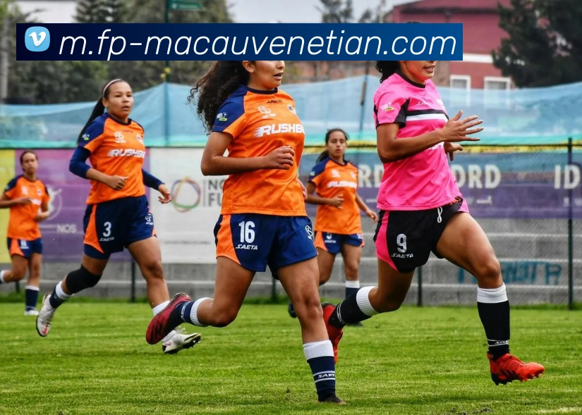 威尼斯人线上娱乐平台生态图